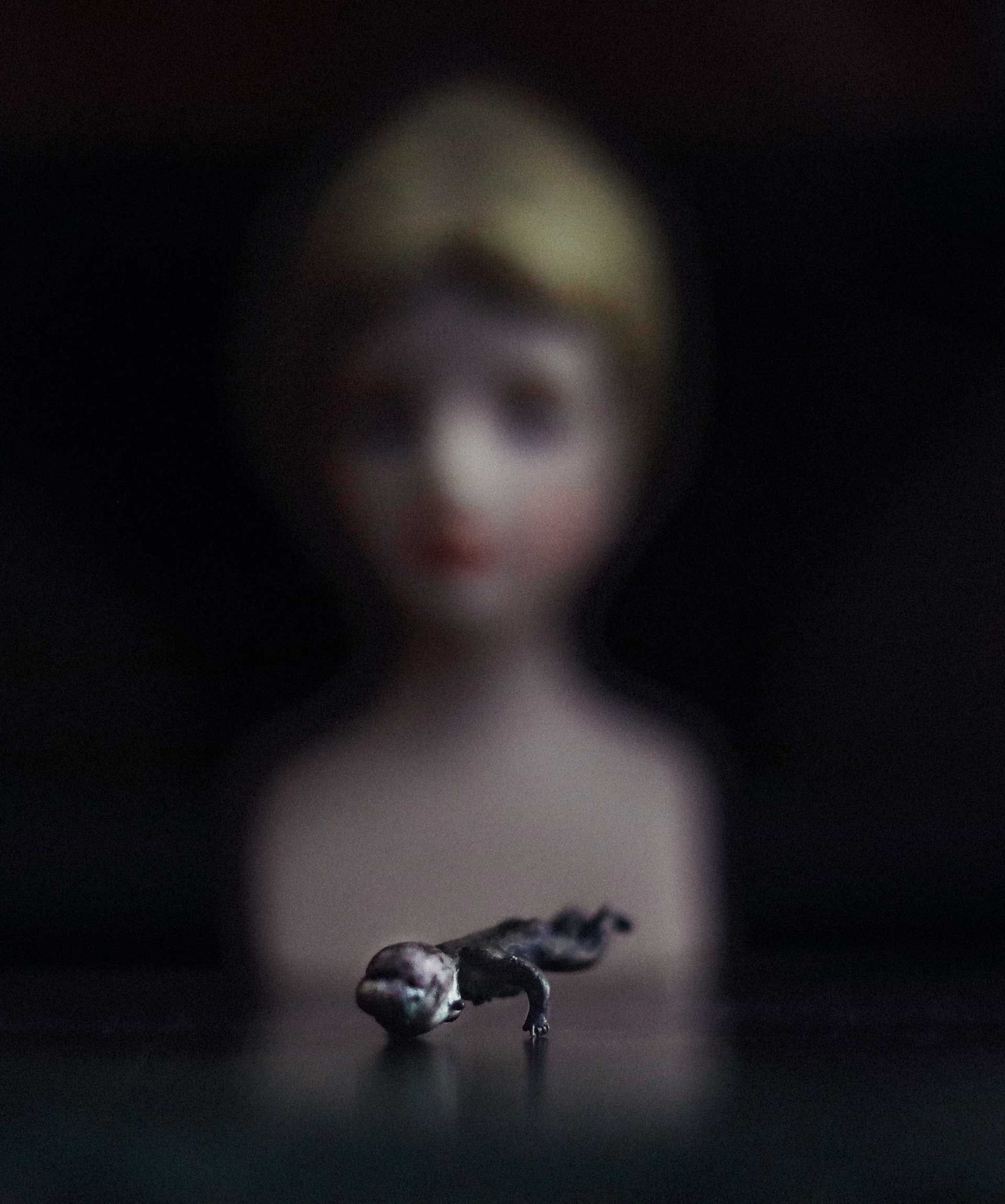 Baby Gem, photograph by Milo Dlouhy