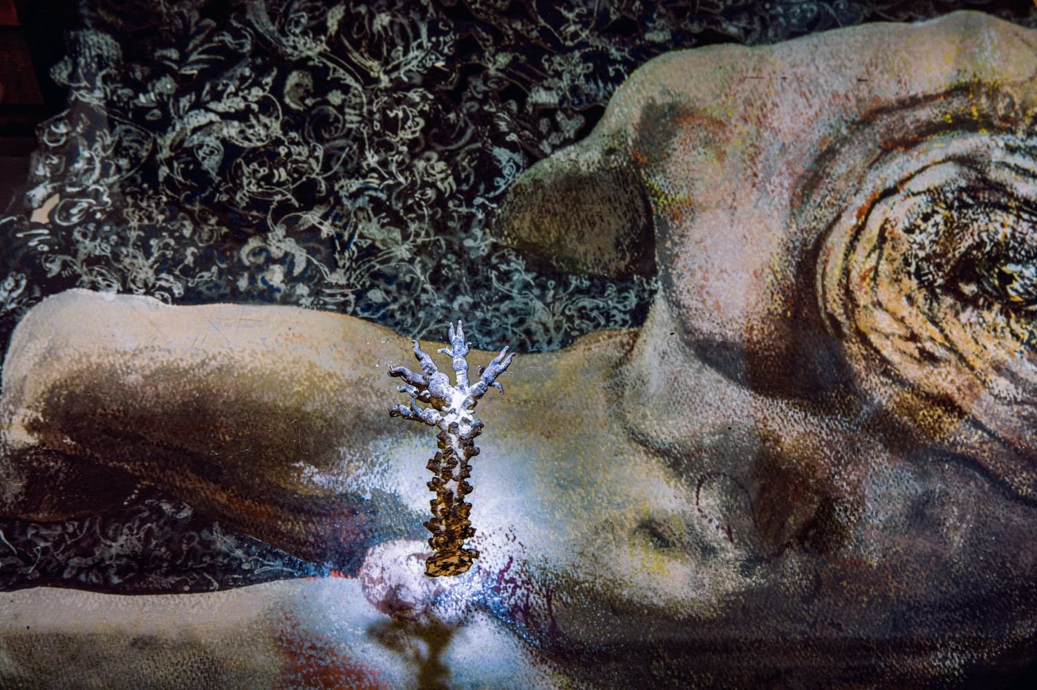 Elephant Man and Baby Tree